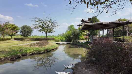 水边小屋风景优美的自然景观