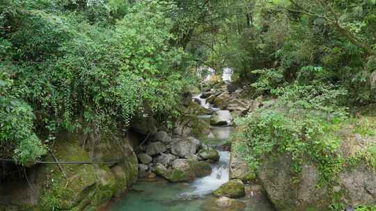 成都青城山后山峡谷森林步道溪流自然景观