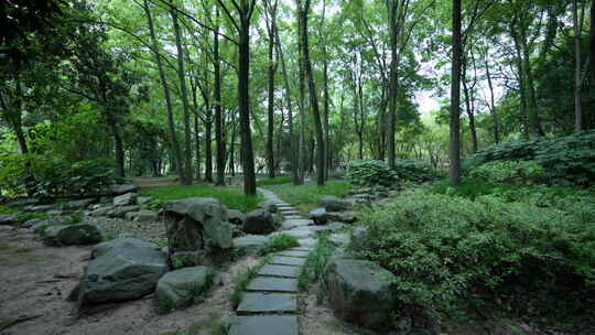 武汉青山区青山公园