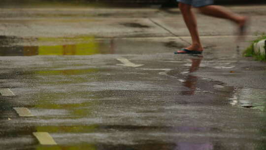 热带雨