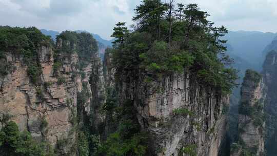 湖南省张家界景区阿凡达取景地奇峰穿云航拍