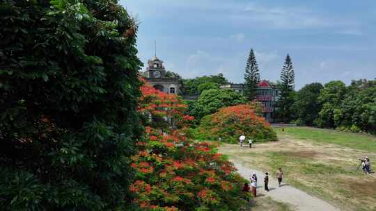 中国广东省江门市台山市庙边学校