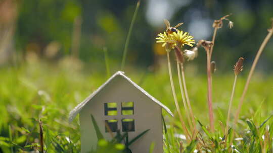 生态家居与生活隐喻绿草中的小房子