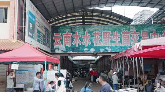 【正版素材】木水花野生菌交易市场