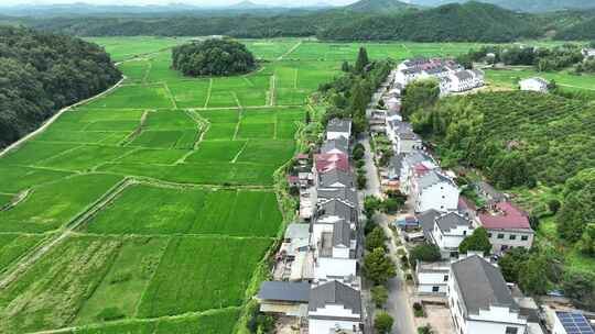 美丽乡村航拍田园风光绿色农村鸟瞰田野风景