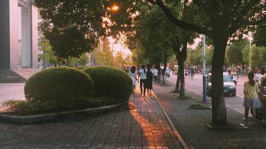 青春 校园生活 毕业 大学生活 旅游视频素材模板下载