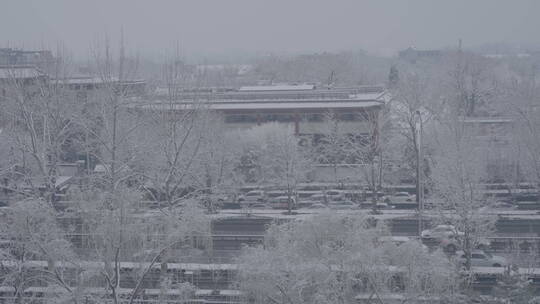 城市雪景 冬天雪景