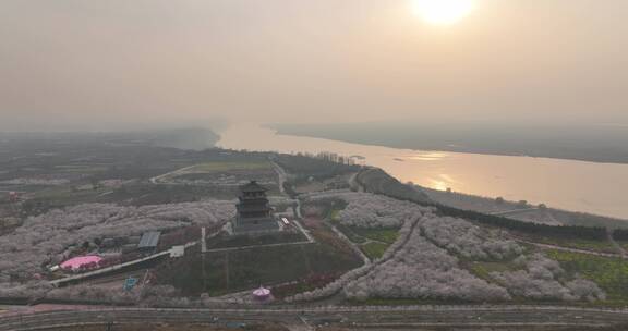 孤柏渡飞黄旅游区樱花园鲜花盛开