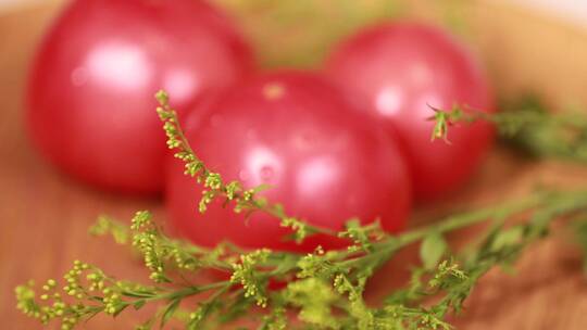 夏季番茄西红柿蔬菜