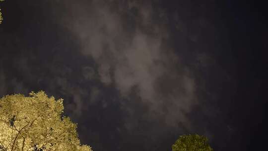 夜晚树木天空云层延时视频素材模板下载