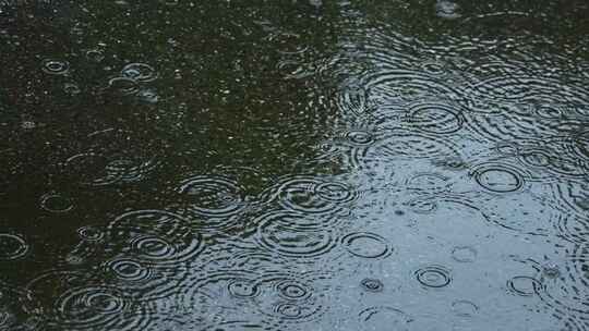 下雨天路面积水雨水落下的波纹