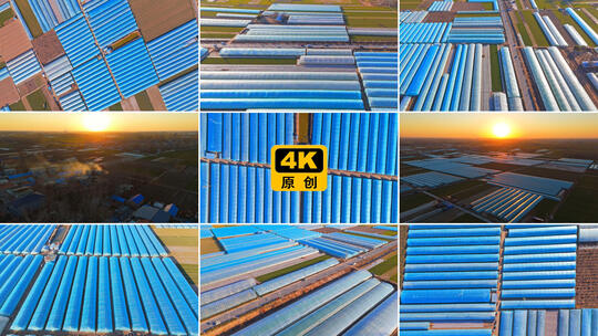 合集-航拍蔬菜大棚农业蔬菜种植乡村振兴高清在线视频素材下载