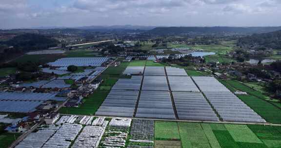 4K高清实拍蔬菜基地大棚农村乡村振兴