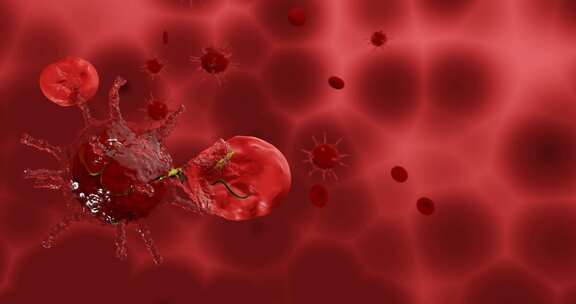 癌细胞在血液里循环动画