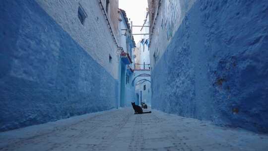 蓝色，独特，盟友，Chefchaouen