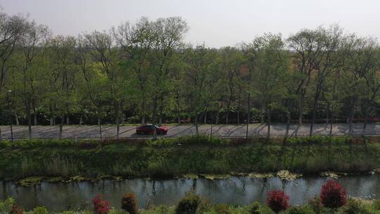 上海 崇明岛 汽车 旅拍 风景 树林