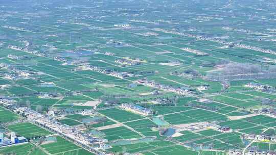 航拍城镇乡村农田民房春景小麦田地空景