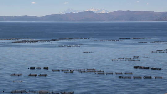 秘鲁喀喀湖宁静的水面视频素材模板下载