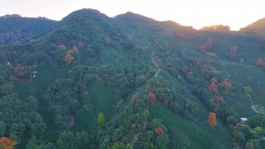 夕阳西下大山森林唯美航拍风景大自然风光杭