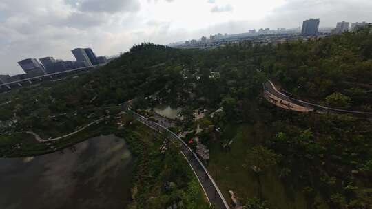 上海 世博双子山