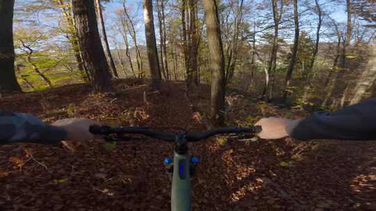 Pov、电动自行车、山地自行车、Emtb