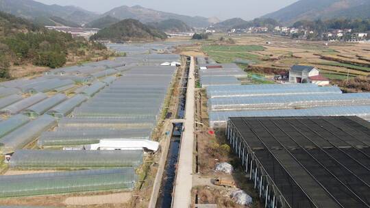 航拍春耕农田农业大棚种植基地农作物