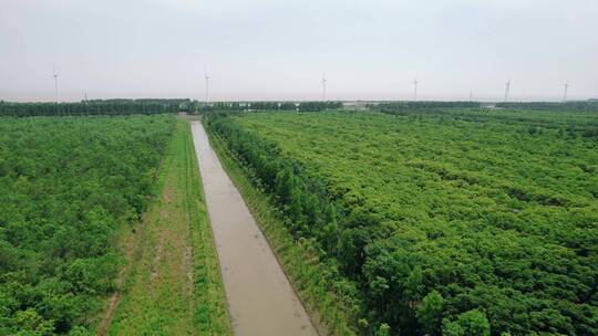 上海奉贤海湾国家森林公园