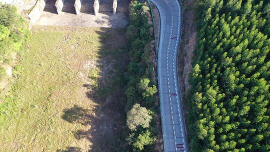 森林公路航拍树林道路汽车行驶航拍山区山路