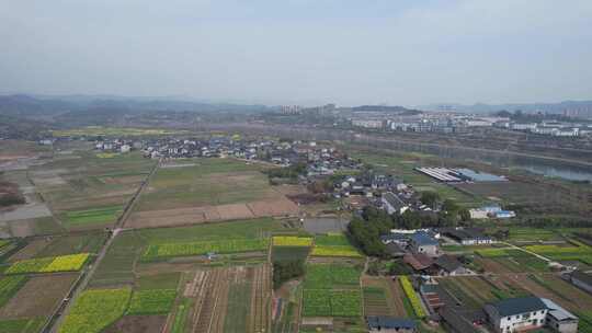 乡村田园农业种植油菜花农田航拍