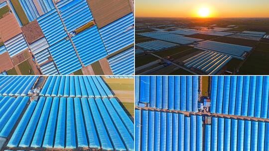 合集-航拍蔬菜大棚农业蔬菜种植乡村振兴