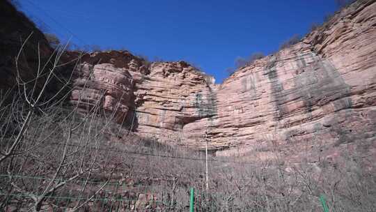 树 岩石上的树 美景 景色 石家庄 嶂石岩