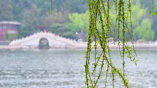 北京春天北海公园早晨湖面晨雾倒影风光