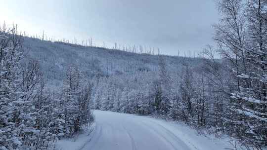 林海雪原雪林和山路