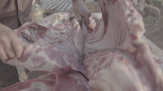 农村杀猪卸肉LOG视频素材模板下载