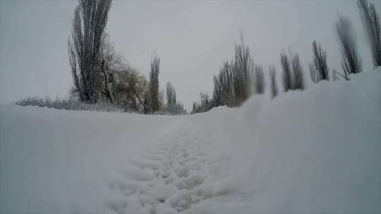 追踪积雪路面上的轮胎痕迹