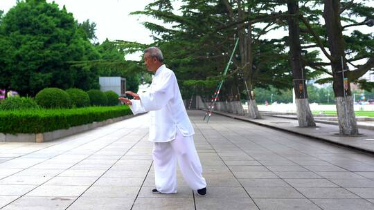 打太极 老人公园打太极视频素材模板下载