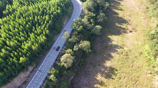 森林公路航拍树林道路汽车行驶航拍山区山路