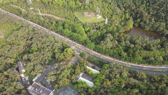 林间道路航拍