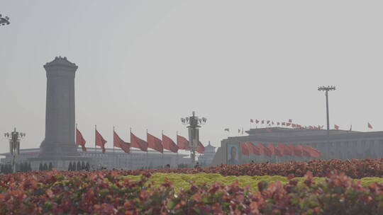 天安门红旗飘扬 国庆 祝福祖国