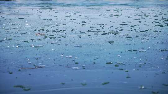 寒潮来临气温下降南京玄武湖公园湖面结冰