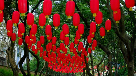 过年春节挂在树上的灯笼张灯结彩