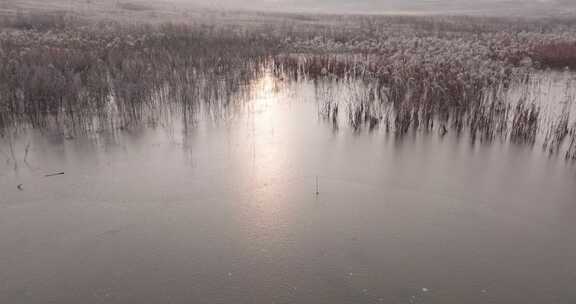 冬季荒原结冰的湖面倒映日落夕阳芦苇花