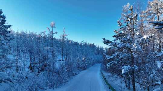 林海雪原雪林和山路