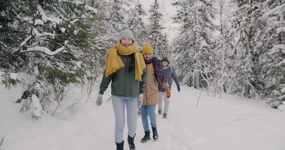 雪，徒步旅行，冬季，森林