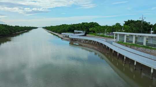 4k广东江门滨海新区银湖湾湿地红树林航拍