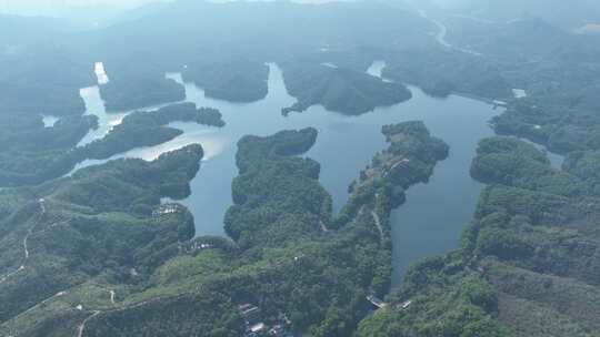 惠州市惠城红花湖景区航拍森林山川湖泊风景