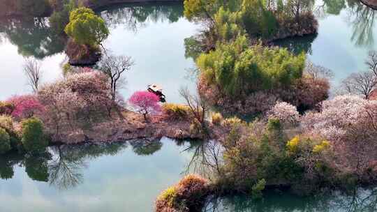 杭州西溪湿地梅花江南水乡小船惬意春游