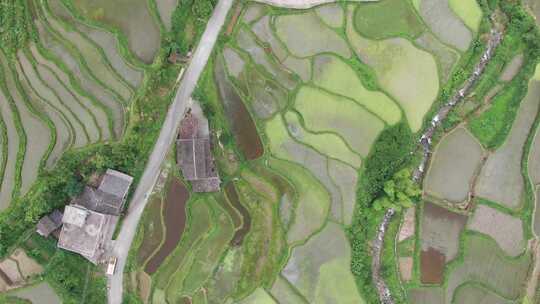 农业种植大山梯田航拍