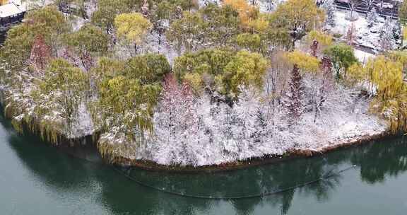 济南大明湖公园雪景航拍        荐