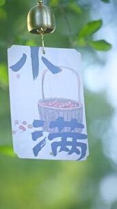 【竖屏】小满合集夏天节气农业小麦丰收空镜